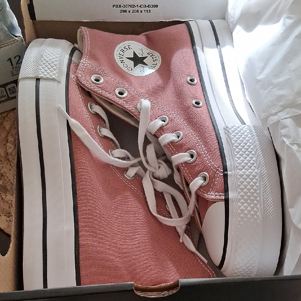 Converse Women's Platform Pink Canvas Sneakers
